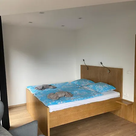 21, Apartmanovy Dom Romantika, Trangoska, Chopok Juh アパート